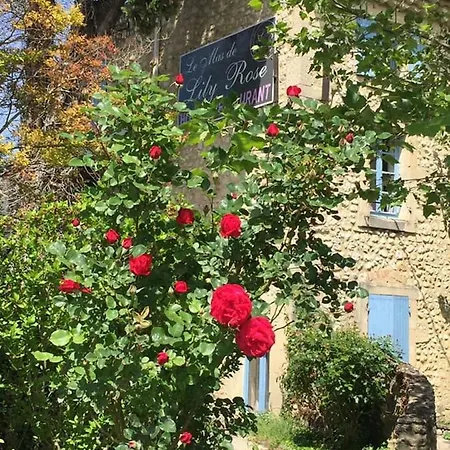 Hotel Logis De 3*